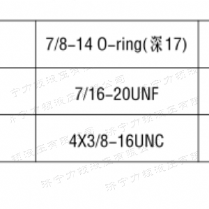 BM1車(chē)輪馬達