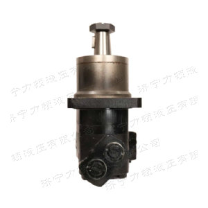 BM6車(chē)輪系列馬達