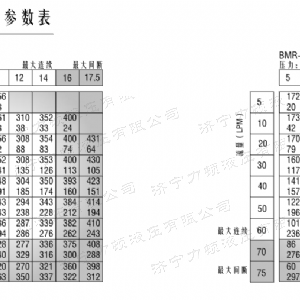 BM1車(chē)輪馬達